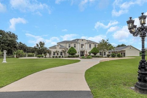 Villa ou maison à vendre à Wesley Chapel, Floride: 4 chambres, 507.34 m2 № 2419205 - photo 6
