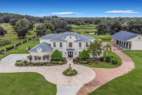 Villa ou maison à Wesley Chapel, Floride 4 chambres, 507.34 m2 № 2419205