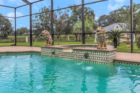 Villa ou maison à vendre à Wesley Chapel, Floride: 4 chambres, 507.34 m2 № 2419205 - photo 9