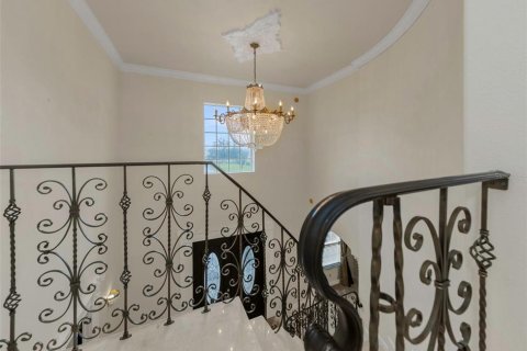 Villa ou maison à vendre à Wesley Chapel, Floride: 4 chambres, 507.34 m2 № 2419205 - photo 13