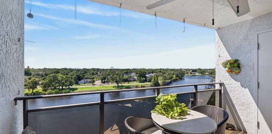 Condo in Tampa, Florida, 3 bedrooms  № 2420361
