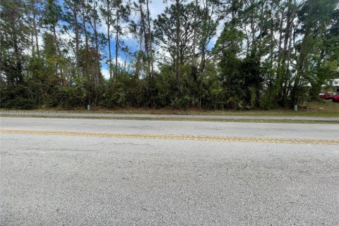 Land in Palm Bay, Florida № 1702374 - photo 2
