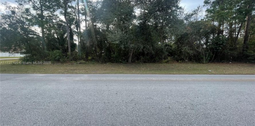 Land in Palm Bay, Florida № 1702374