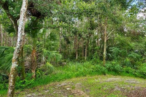 Casa en venta en Palm Harbor, Florida, 1 dormitorio, 95.6 m2 № 1809895 - foto 12