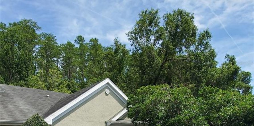 House in Palm Harbor, Florida 1 bedroom, 95.6 sq.m. № 1809895