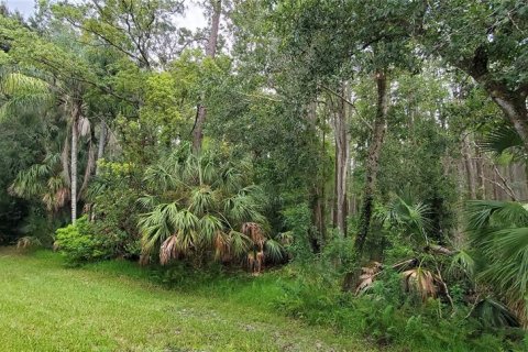 Casa en venta en Palm Harbor, Florida, 1 dormitorio, 95.6 m2 № 1809895 - foto 11