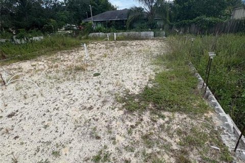 Terreno en venta en Orange City, Florida № 1915811 - foto 3