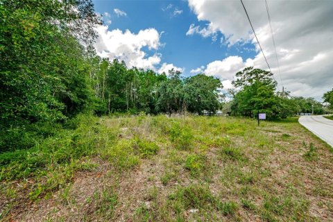 Terreno en venta en New Port Richey, Florida № 1246401 - foto 13