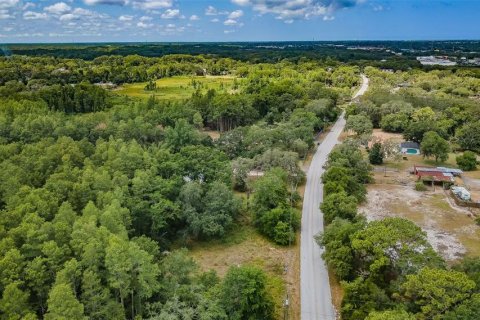 Terreno en venta en New Port Richey, Florida № 1246401 - foto 7