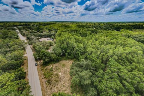 Terreno en venta en New Port Richey, Florida № 1246401 - foto 6