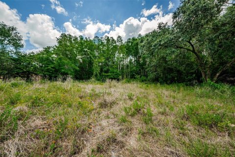 Terreno en venta en New Port Richey, Florida № 1246401 - foto 15