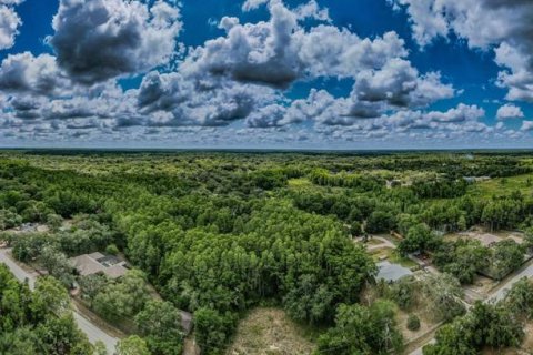Terreno en venta en New Port Richey, Florida № 1246401 - foto 9