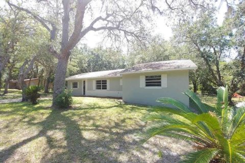 Villa ou maison à Inverness, Floride 4 chambres, 196.3 m2 № 2114480