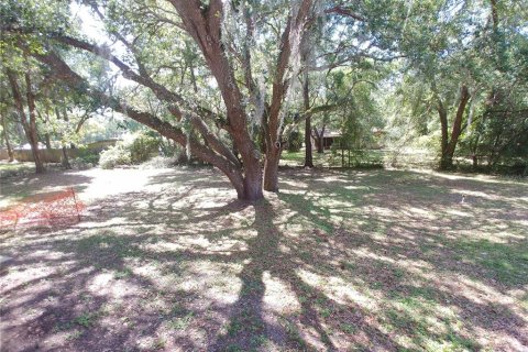 Villa ou maison à louer à Inverness, Floride: 4 chambres, 196.3 m2 № 2114480 - photo 13
