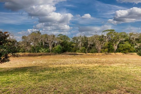 Casa en alquiler en Mount Dora, Florida, 4 dormitorios, 337.42 m2 № 2148919 - foto 24