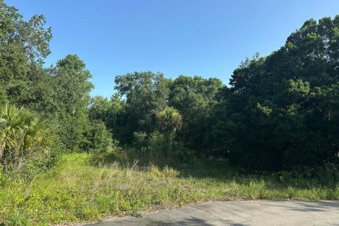 Commercial property in Okeechobee, Florida № 2260491