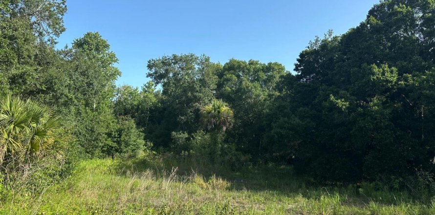 Commercial property in Okeechobee, Florida № 2260491