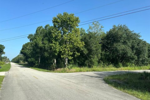 Commercial property in Okeechobee, Florida № 2260491 - photo 2