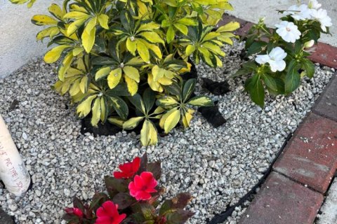 Снять в аренду коммерческую недвижимость в Майами, Флорида 1 спальня, 184.78м2, № 2026792 - фото 4