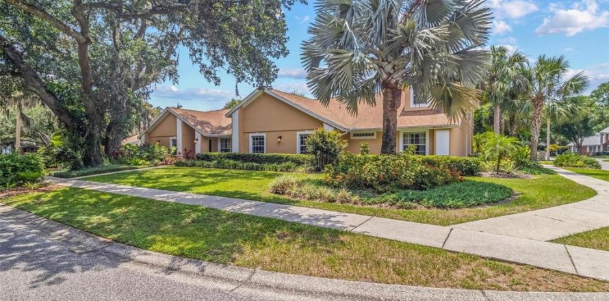 House in Temple Terrace, Florida 5 bedrooms, 364.64 sq.m. № 1750725