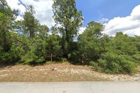 Terreno en venta en Deltona, Florida № 1438659 - foto 2