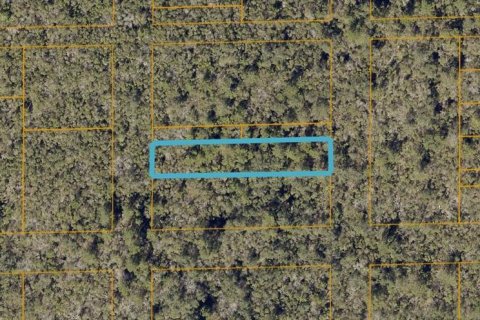 Terreno en venta en Deltona, Florida № 1438659 - foto 1