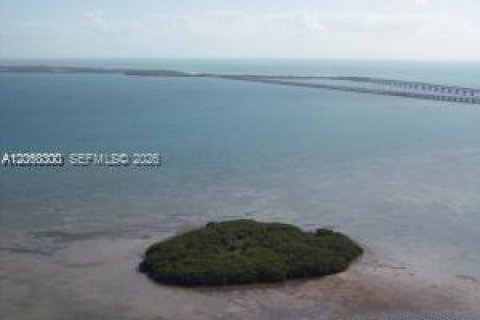 Immobilier commercial à vendre à Big Pine Key, Floride № 2176603 - photo 6