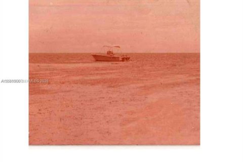 Immobilier commercial à vendre à Big Pine Key, Floride № 2176603 - photo 5