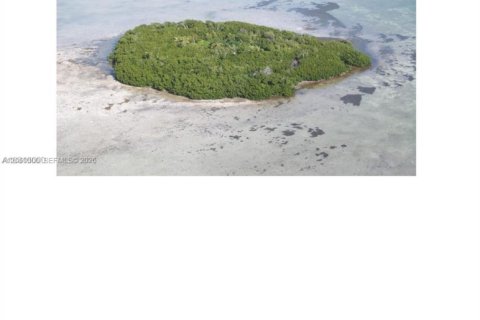 Immobilier commercial à Big Pine Key, Floride № 2176603