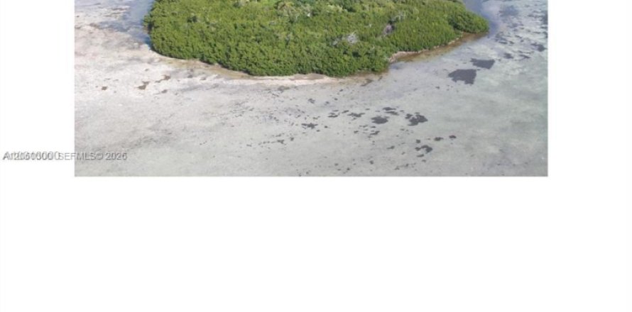 Immobilier commercial à Big Pine Key, Floride № 2176603