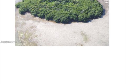 Immobilier commercial à vendre à Big Pine Key, Floride № 2176603 - photo 7