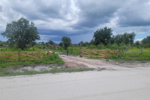 Land in Myakka City, Florida № 1562685 - photo 2