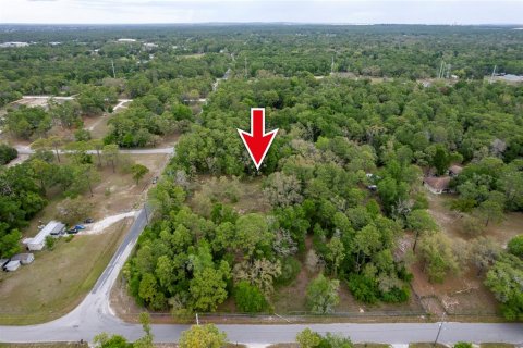 Terrain à vendre à Brooksville, Floride № 2155863 - photo 6