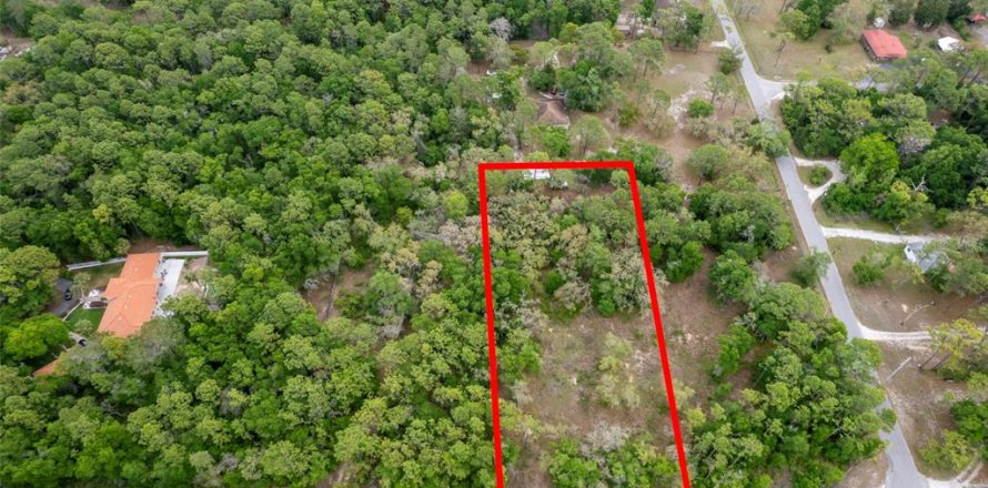 Terrain à Brooksville, Floride № 2155863