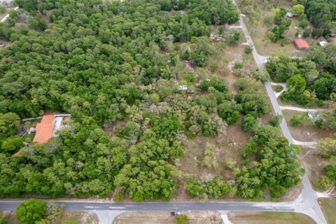 Terrain à vendre à Brooksville, Floride № 2155863 - photo 2