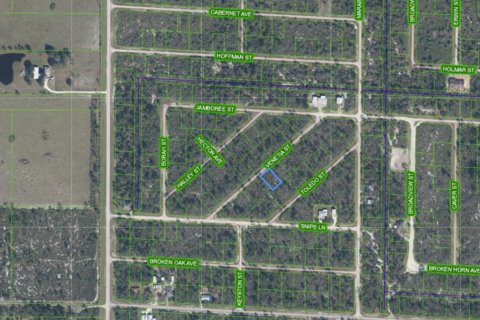 Land in Lake Placid, Florida № 2159597 - photo 2