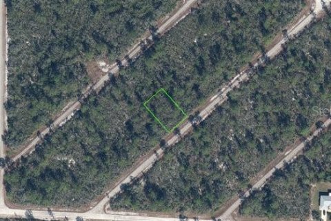 Land in Lake Placid, Florida № 2159597 - photo 3
