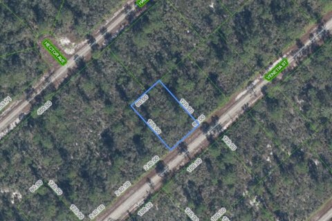 Land in Lake Placid, Florida № 2159597