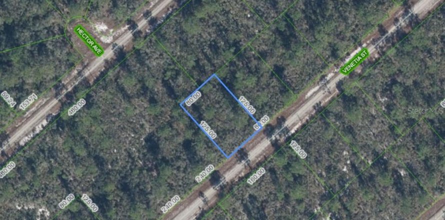 Land in Lake Placid, Florida № 2159597
