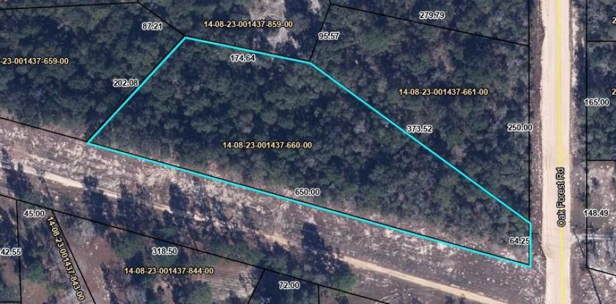 Land in Keystone Heights, Florida № 766456
