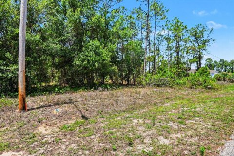 Land in Lehigh Acres, Florida № 2158734 - photo 4