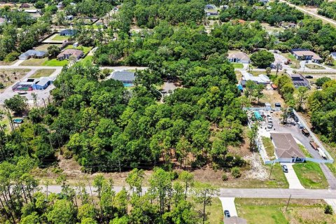 Land in Lehigh Acres, Florida № 2158734 - photo 10