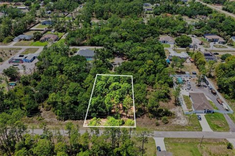 Land in Lehigh Acres, Florida № 2158734 - photo 12