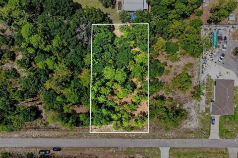 Land in Lehigh Acres, Florida № 2158734 - photo 2