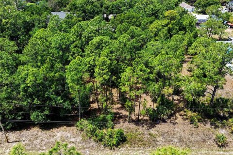 Land in Lehigh Acres, Florida № 2158734 - photo 9