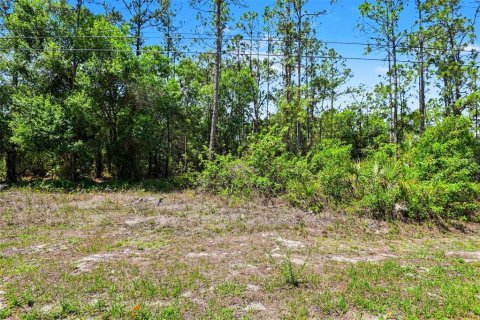 Land in Lehigh Acres, Florida № 2158734 - photo 5