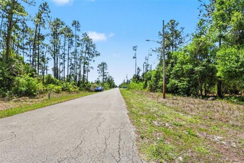 Land in Lehigh Acres, Florida № 2158734 - photo 6