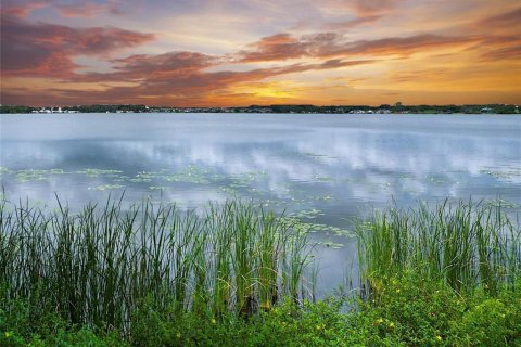 Terrain à Lake Alfred, Floride № 2094732