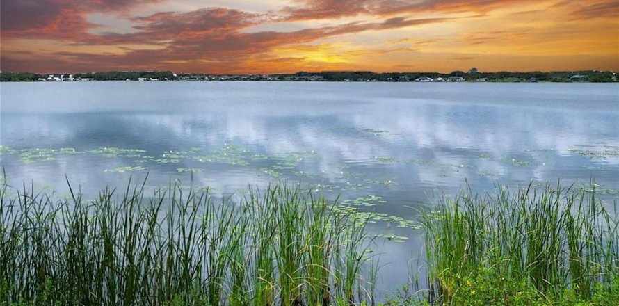 Terrain à Lake Alfred, Floride № 2094732