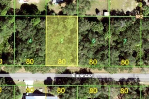 Land in Port Charlotte, Florida № 2214381